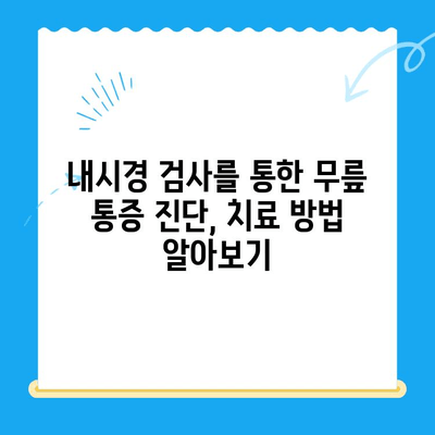 무릎 안쪽 통증| 내시경 검사로 원인을 찾고, 효과적인 관리 방법 알아보기 | 무릎 통증, 내시경, 진단, 치료, 관리