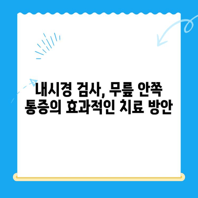 무릎 안쪽 통증| 내시경 검사로 원인을 찾고, 효과적인 관리 방법 알아보기 | 무릎 통증, 내시경, 진단, 치료, 관리