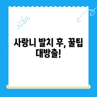 붓고 욱신거리는 어금니, 당산역 치과 사랑니 발치 후기| 솔직한 경험 공유 |  사랑니 발치, 통증, 후기, 당산역 치과, 추천