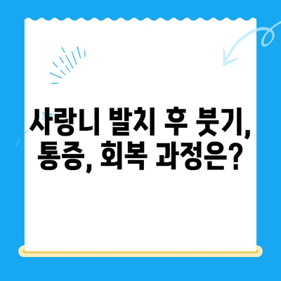 당산역 치과 사랑니 발치 후기| 붓고 욱신거리는 어금니, 치료 경험 공유 | 당산역, 사랑니, 발치, 치료 후기, 통증