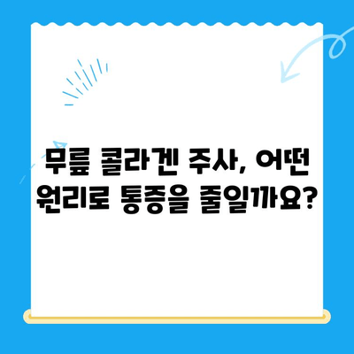 무릎 콜라겐 주사| 통증 완화 치료 효과 및 주의사항 | 관절 건강, 무릎 통증, 콜라겐 주사, 시술 정보