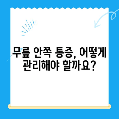 무릎 안쪽 통증, 원인과 관리법|  내 몸을 지키는 솔루션 | 무릎 통증, 무릎 안쪽 통증 원인, 무릎 안쪽 통증 관리, 운동, 스트레칭, 치료