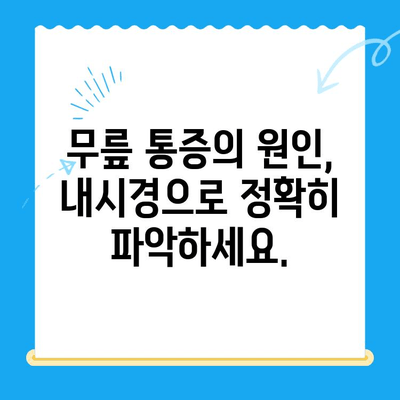 야외 활동 후 무릎 통증? 내시경으로 해결책 찾기| 증상, 원인, 치료법 | 무릎 통증, 내시경 수술, 야외 활동 부상