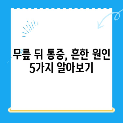 무릎 뒤 통증, 왜 생길까? 원인과 개선 방법 총정리 | 무릎 통증, 통증 완화, 움직임 개선, 운동 팁