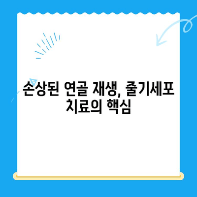 무릎 통증 악화 막는 줄기세포 치료, 그 원리는? | 무릎 통증, 줄기세포, 재생 치료, 관절염