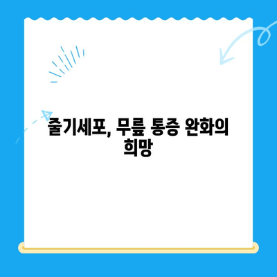 무릎 통증 악화 막는 줄기세포 치료, 그 원리는? | 무릎 통증, 줄기세포, 재생 치료, 관절염