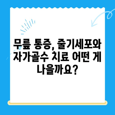 무릎 통증 해결, 줄기세포 vs 자가골수 치료 비용 & 효과 비교 가이드 | 무릎, 관절, 재활, 치료, 비용