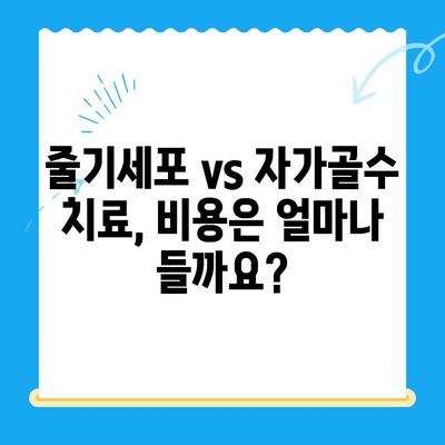 무릎 통증 해결, 줄기세포 vs 자가골수 치료 비용 & 효과 비교 가이드 | 무릎, 관절, 재활, 치료, 비용