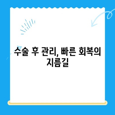 무릎관절 수술, 언제 해야 할까요? | 시기 판단 기준, 수술 후 관리, 비수술적 치료