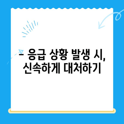 해외 거주/유학생 필수 가이드| 치과 진료, 이렇게 받으세요! | 치과 보험, 비용, 추천 팁