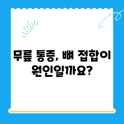 무릎관절 사이 뼈 접합 증상 완벽 이해하기 | 무릎 통증, 뼈 접합 원인, 치료 방법, 예방 팁