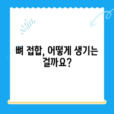 무릎관절 사이 뼈 접합 증상 완벽 이해하기 | 무릎 통증, 뼈 접합 원인, 치료 방법, 예방 팁