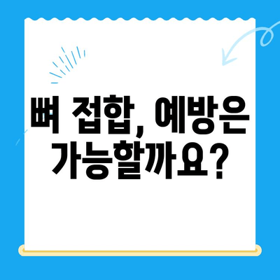 무릎관절 사이 뼈 접합 증상 완벽 이해하기 | 무릎 통증, 뼈 접합 원인, 치료 방법, 예방 팁