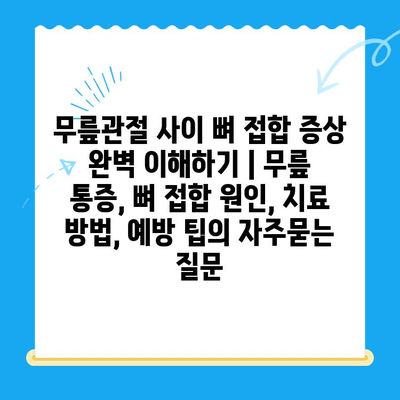 무릎관절 사이 뼈 접합 증상 완벽 이해하기 | 무릎 통증, 뼈 접합 원인, 치료 방법, 예방 팁