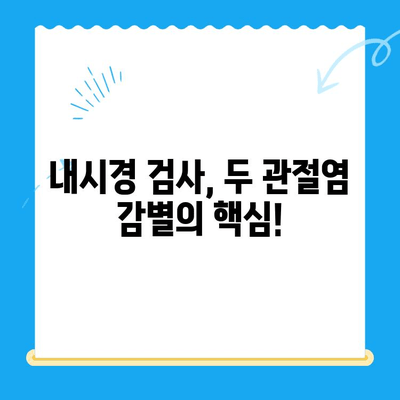 류마티스 관절염 vs. 무릎관절염| 내시경으로 정확하게 감별하는 방법 | 관절염, 진단, 내시경 검사