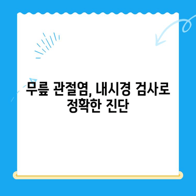 류마티스 관절염 vs. 무릎관절염| 내시경으로 정확하게 감별하는 방법 | 관절염, 진단, 내시경 검사