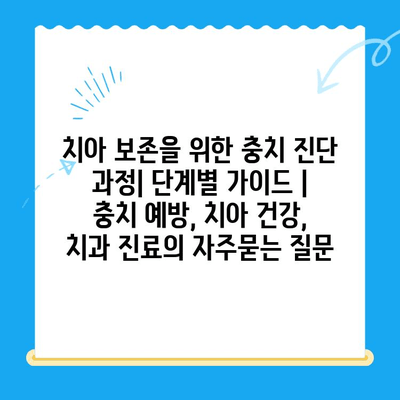 치아 보존을 위한 충치 진단 과정| 단계별 가이드 | 충치 예방, 치아 건강, 치과 진료