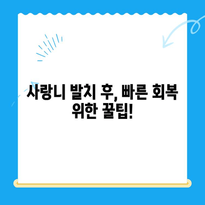 당산역 치과 사랑니 발치 후기| 붓고 아픈 어금니, 이제 그만! | 사랑니 발치, 통증, 회복, 당산역 치과 추천