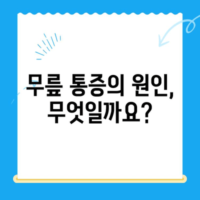 무릎 통증 완화, 관절 연골 영양제가 답일까요? | 무릎 통증 관리, 연골 재생, 건강 기능 식품