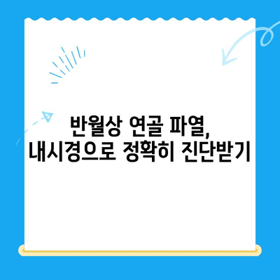 반월상연골파열, 내시경 진단부터 수술 후 재활까지| 완벽 가이드 | 무릎 통증, 운동, 재활 운동, 회복