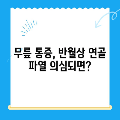 반월상연골파열, 내시경 진단부터 수술 후 재활까지| 완벽 가이드 | 무릎 통증, 운동, 재활 운동, 회복