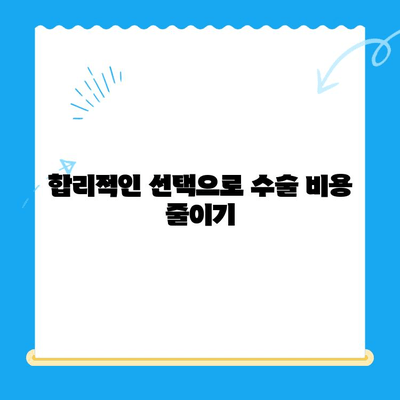 무릎 인공관절 수술 비용 줄이는 방법|  합리적인 선택과 절약 전략 | 비용 절감, 의료비, 수술 준비