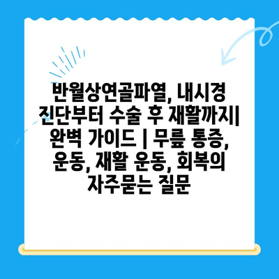 반월상연골파열, 내시경 진단부터 수술 후 재활까지| 완벽 가이드 | 무릎 통증, 운동, 재활 운동, 회복