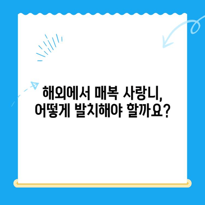 국제 학생 및 외교관을 위한 치과 치료| 매복 사랑니 발치 가이드 | 치과 치료, 매복 사랑니, 국제 학생, 외교관, 치과 팁