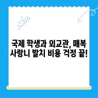 국제 학생 및 외교관을 위한 치과 치료| 매복 사랑니 발치 가이드 | 치과 치료, 매복 사랑니, 국제 학생, 외교관, 치과 팁