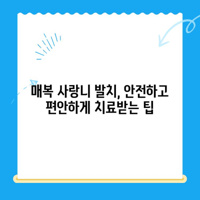 국제 학생 및 외교관을 위한 치과 치료| 매복 사랑니 발치 가이드 | 치과 치료, 매복 사랑니, 국제 학생, 외교관, 치과 팁