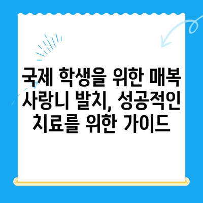 국제 학생 및 외교관을 위한 치과 치료| 매복 사랑니 발치 가이드 | 치과 치료, 매복 사랑니, 국제 학생, 외교관, 치과 팁