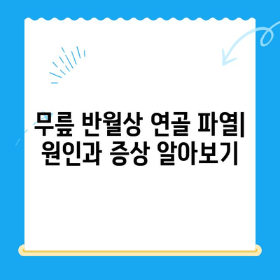 무릎 반월상 연골 파열| 통증, 증상, 치료 및 회복 가이드 | 부상, 재활, 운동