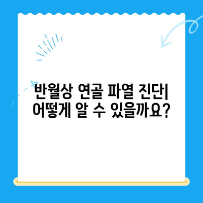 무릎 반월상 연골 파열| 통증, 증상, 치료 및 회복 가이드 | 부상, 재활, 운동