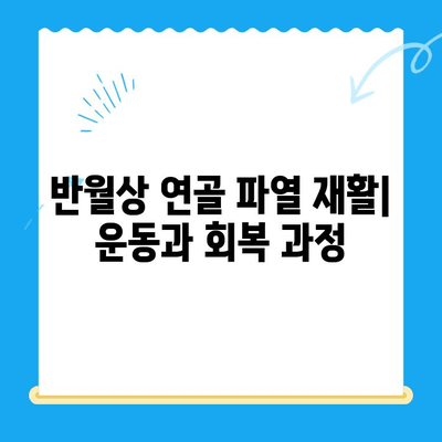 무릎 반월상 연골 파열| 통증, 증상, 치료 및 회복 가이드 | 부상, 재활, 운동