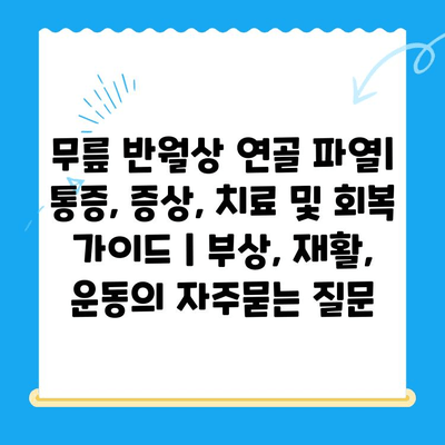 무릎 반월상 연골 파열| 통증, 증상, 치료 및 회복 가이드 | 부상, 재활, 운동