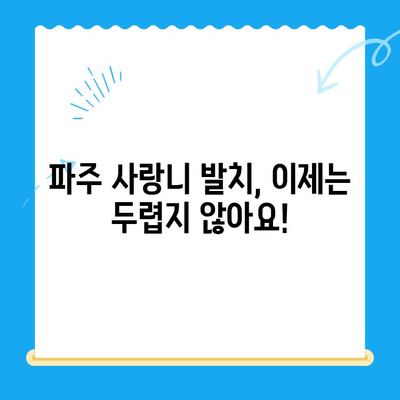 파주 사랑니 수면 치과| 의식하 진정법으로 치료 불안 해소 | 수면 마취, 사랑니 발치, 파주 치과