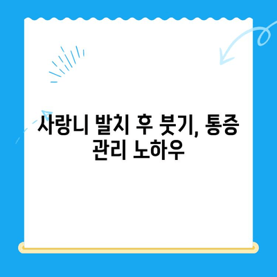 붓고 욱신거리는 어금니, 당산역 치과 사랑니 발치 후기|  내 경험 공유 | 사랑니 통증, 발치 과정, 당산역 치과 추천