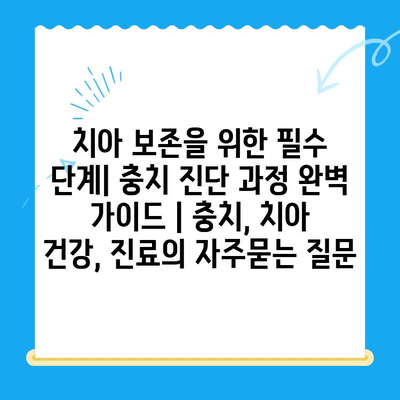 치아 보존을 위한 필수 단계| 충치 진단 과정 완벽 가이드 | 충치, 치아 건강, 진료