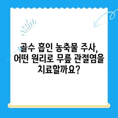 무릎 관절염 치료| 골수 흡인 농축물 주사, 효과와 주의사항 | 관절염 치료, 재생 의학, 줄기세포