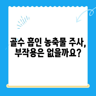 무릎 관절염 치료| 골수 흡인 농축물 주사, 효과와 주의사항 | 관절염 치료, 재생 의학, 줄기세포