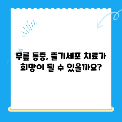 무릎 통증, 줄기세포 치료가 해답일까요? | 무릎 통증, 줄기세포 치료, 치료법, 성공 사례