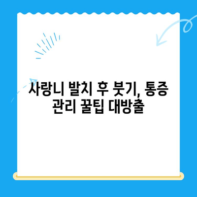 당산역 치과 사랑니 발치 후기 & 꿀팁| 붓기, 통증 관리부터 주의사항까지 | 당산역, 사랑니, 발치, 후기, 팁, 관리