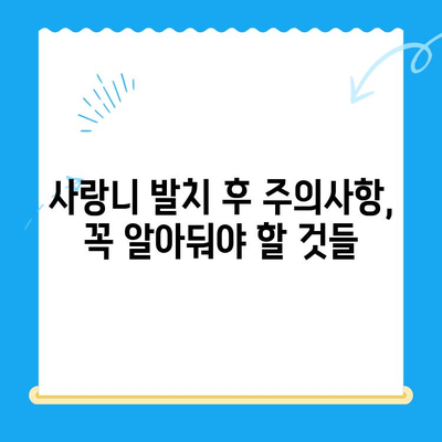 당산역 치과 사랑니 발치 후기 & 꿀팁| 붓기, 통증 관리부터 주의사항까지 | 당산역, 사랑니, 발치, 후기, 팁, 관리