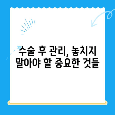 무릎 연골 수술 후 빠른 회복을 위한 관리법| 성공적인 재활을 위한 5가지 핵심 전략 | 무릎 연골 수술, 재활, 운동, 관리, 회복