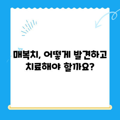 매복치 위치 복원, 성공적인 치아 교정을 위한 완벽 가이드 | 매복치, 치아 교정, 치과, 치료