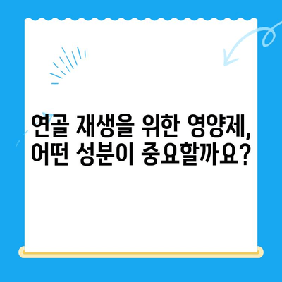 무릎 연골 영양제| 통증 완화를 위한 선택 가이드 | 무릎 통증, 연골 재생, 관절 건강, 영양제 추천