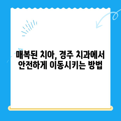 경주 치과에서 매복치를 본래 자리로 이동시키는 방법| 성공적인 치료를 위한 안내 | 매복치, 치아 이동, 경주 치과, 치과 치료