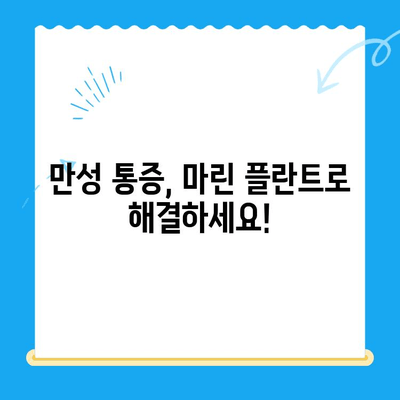 경주에서 마린 플란트 치료를 찾는 이유| 효과적인 치료와 선택 가이드 | 마린 플란트, 치료, 경주, 척추, 관절, 통증