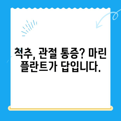 경주에서 마린 플란트 치료를 찾는 이유| 효과적인 치료와 선택 가이드 | 마린 플란트, 치료, 경주, 척추, 관절, 통증