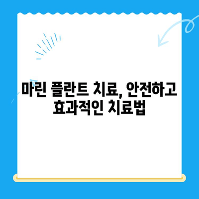 경주에서 마린 플란트 치료를 찾는 이유| 효과적인 치료와 선택 가이드 | 마린 플란트, 치료, 경주, 척추, 관절, 통증